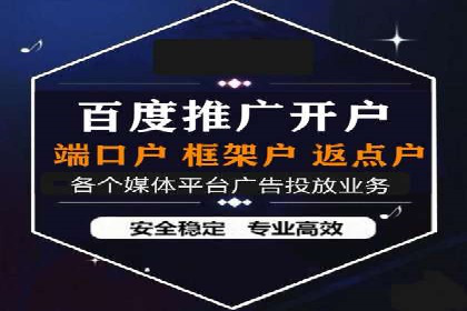 百度竞价排名机制：成功案例与策略探讨